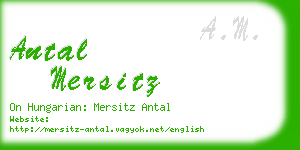 antal mersitz business card